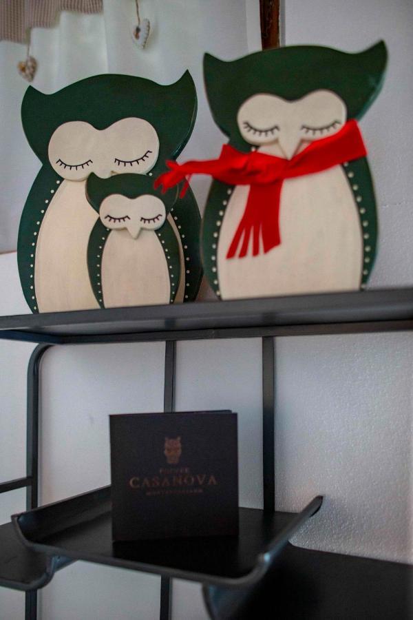 Podere Casanova & Wine Experience - Apartment