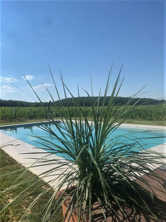 Apartment Podere Casanova & Wine Experience -