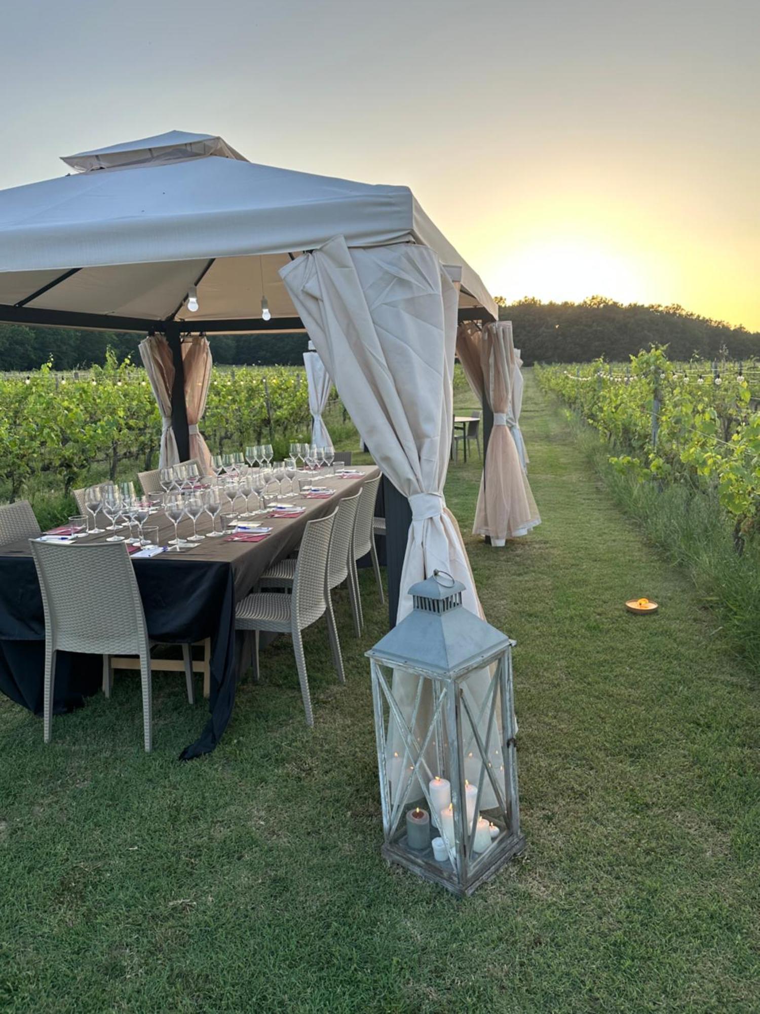 Podere Casanova & Wine Experience - Apartment Montepulciano