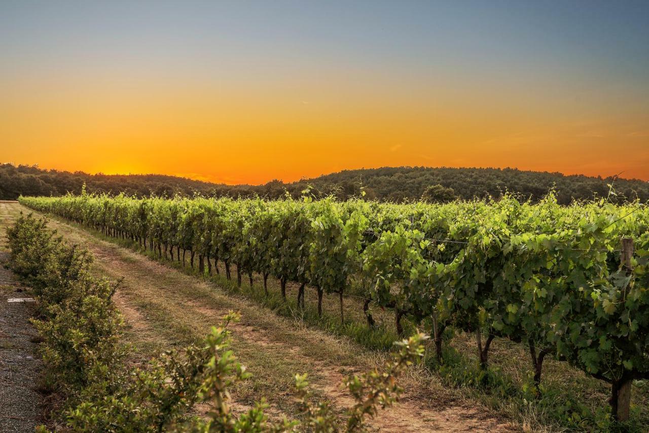 Apartment Podere Casanova & Wine Experience -