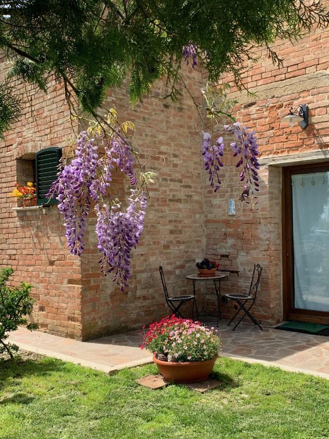 Podere Casanova & Wine Experience - *