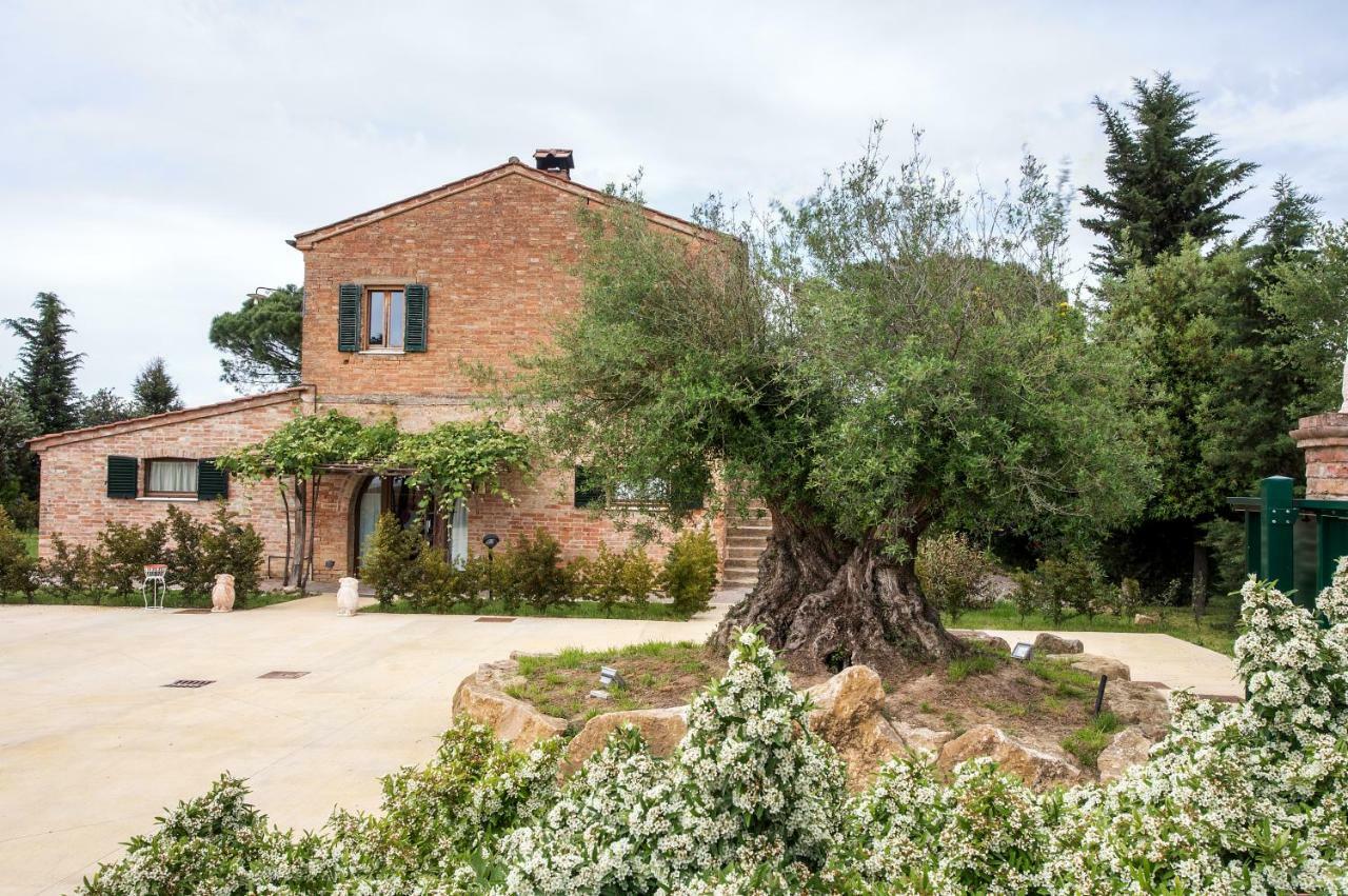 Apartment Podere Casanova & Wine Experience - *