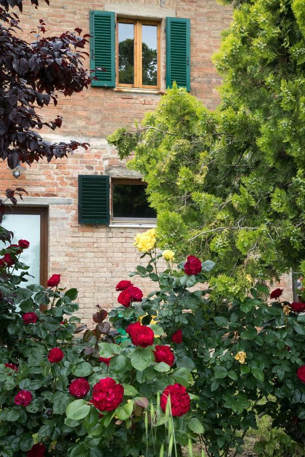 Podere Casanova & Wine Experience - Apartment