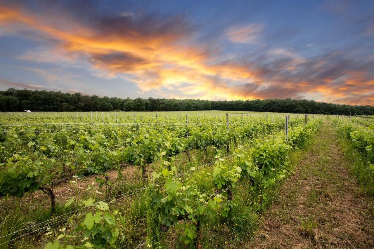 Apartment Podere Casanova & Wine Experience - *