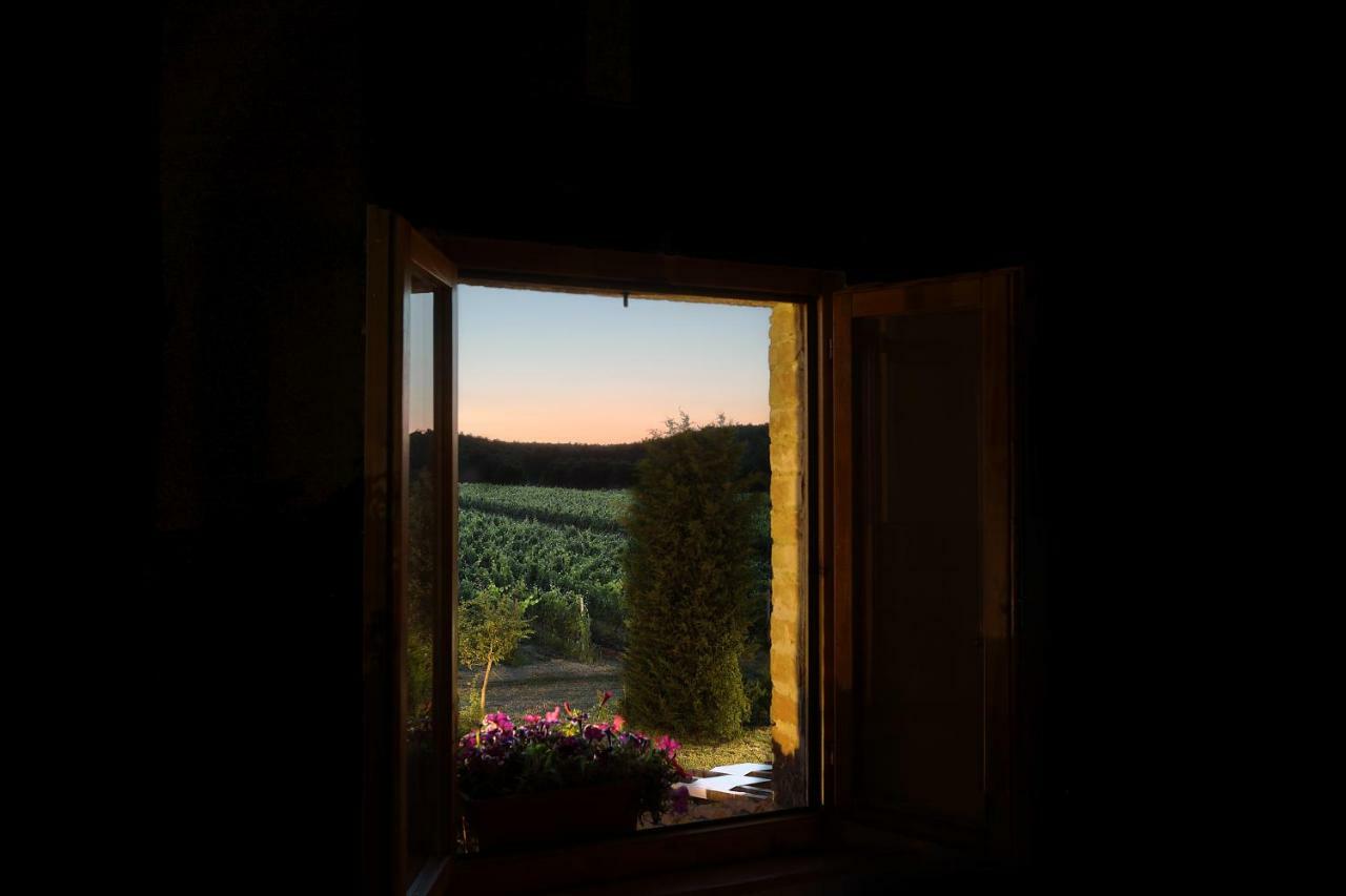 Apartment Podere Casanova & Wine Experience -