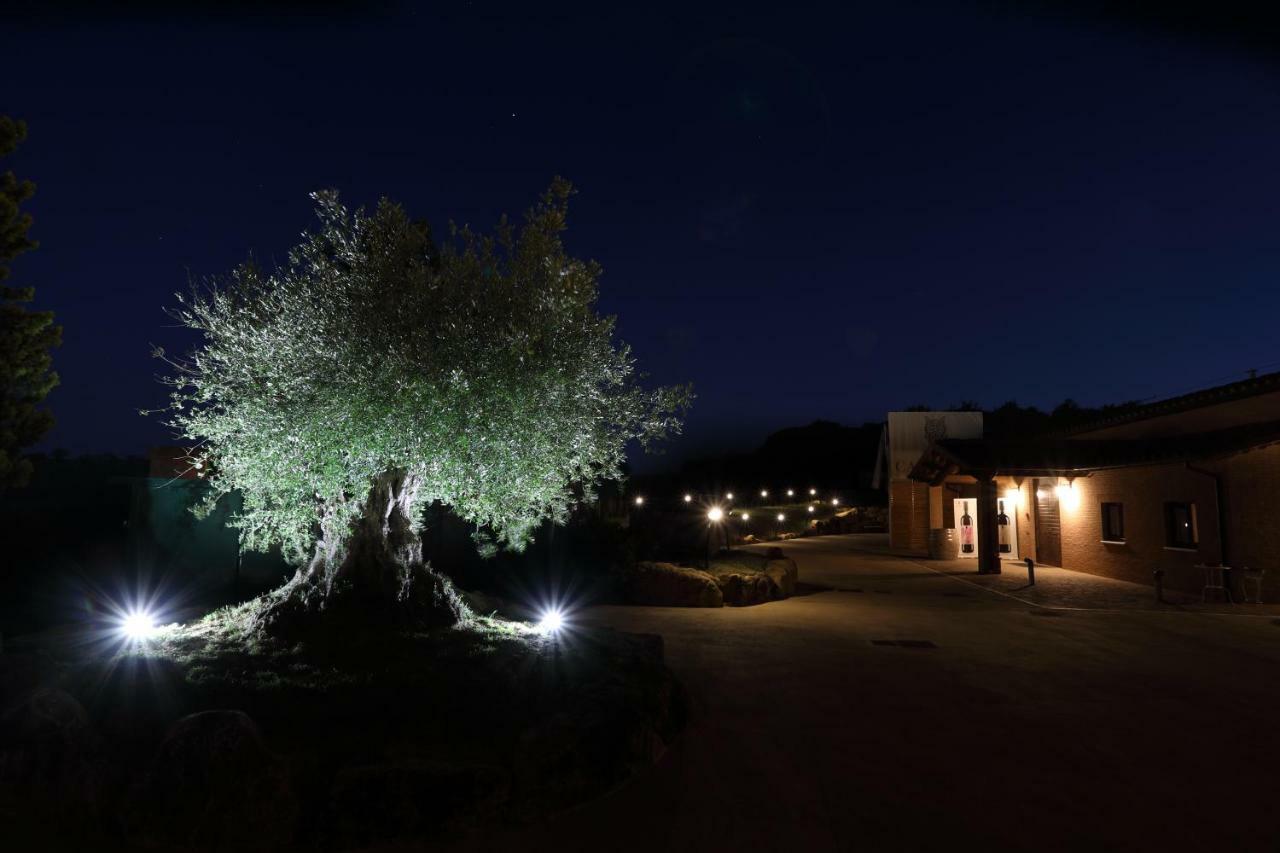 Podere Casanova - Appartamento Montepulciano Stazione
