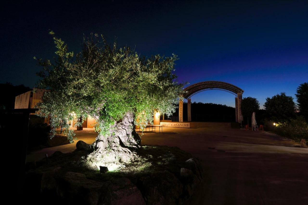 Podere Casanova - Appartamento Montepulciano Stazione